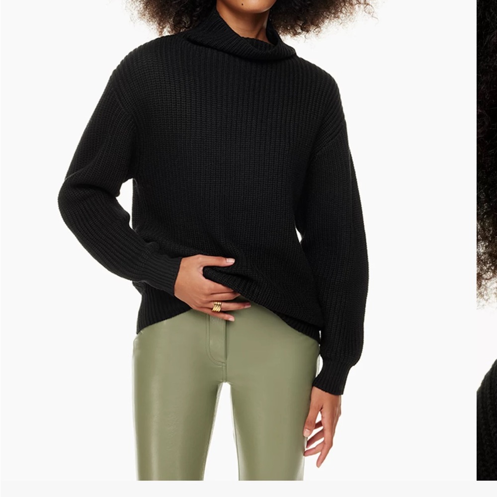 Aritzia Montpellier Turtleneck Wilfred